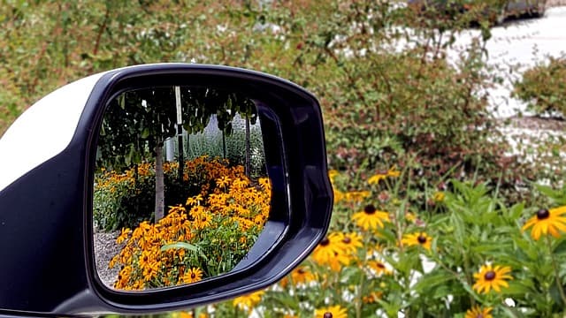 Conseils automobiles pour le printemps.